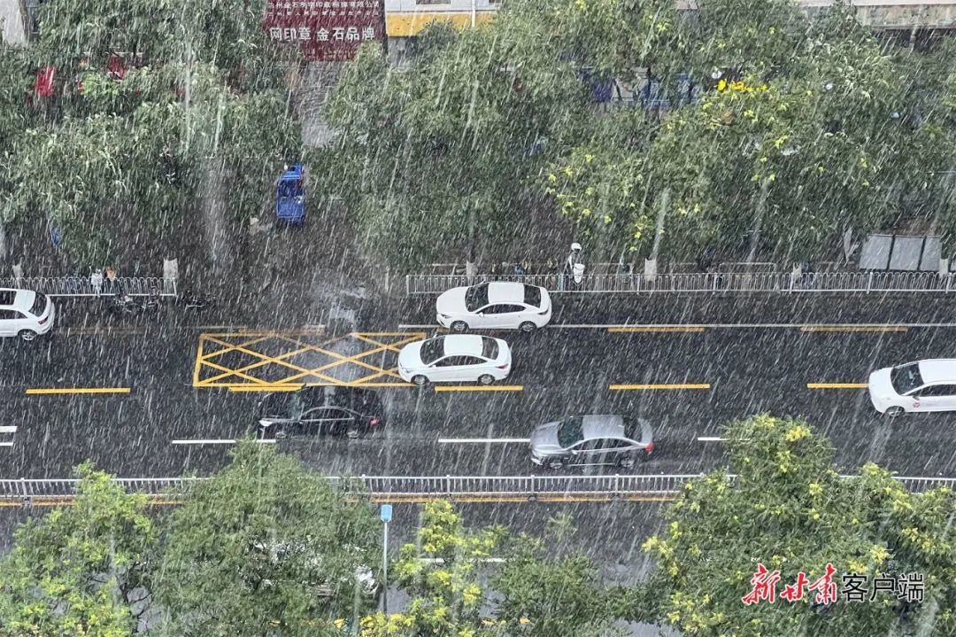 第551页