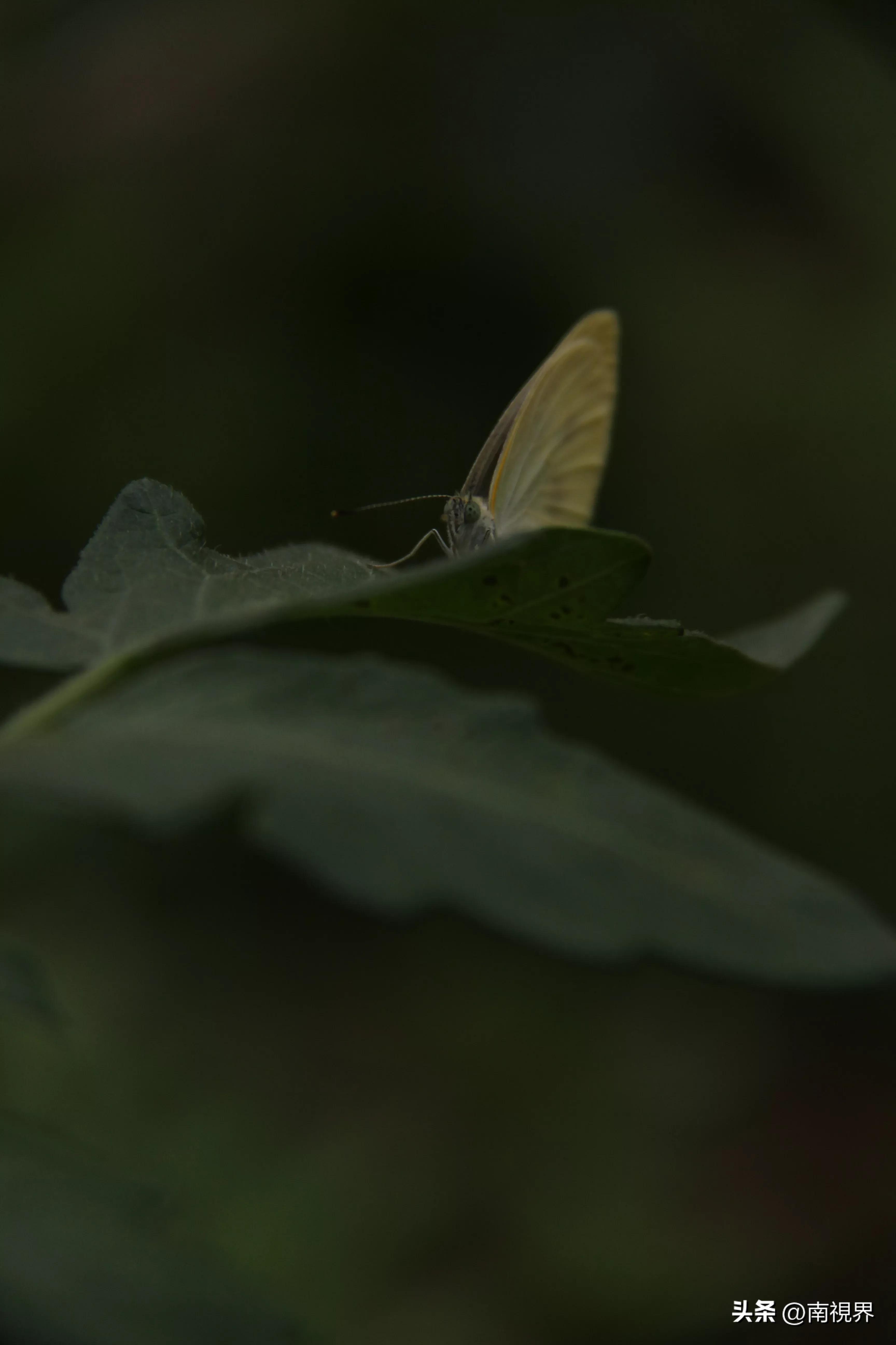 第343页